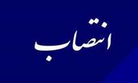 انتصاب دکتر مریم بهمن زاده به عنوان سرپرست مرکز آموزش مجازی دانشگاه