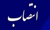 دکتر مریم بهمن زاده سرپرست گروه آموزشی علوم تشریح شد