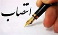 دکتر حسین وکیلی مفرد، مدیرگروه آموزشی کتابداری و اطلاع رسانی پزشکی شد